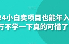 2024小白卖项目也能年入百万不学一下真的可惜了