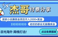 拆解海外撸美金项目月入2000美刀详细指导