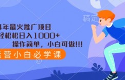 2024年最火推广项目，轻轻松松日入1000+，操作简单，小白可做