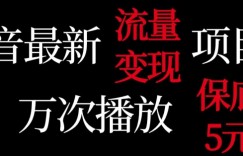 抖音流量变现，万次播放保底5元，额外收入