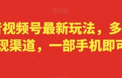 抖音视频号最新玩法，多种变现渠道，一部手机即可