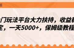 冷门玩法平台大力扶持，收益稳定，一天5000+，保姆级教程（附抖音7天起号法）