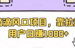 滴滴风口项目，靠拉新用户日赚1000+