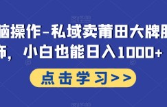 无脑操作-私域卖莆田大牌服饰，小白也能日入1000+