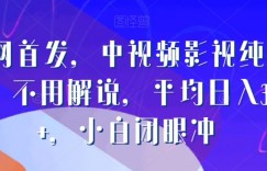 全网首发，中视频影视纯剪辑，不用解说，平均日入300+，小白闭眼冲