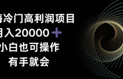 蓝海冷门高利润项目月入2000，小白也可操作有手就会