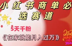做小红书商单，一定要选这个赛道，互动率非常高，在家就能月入过万