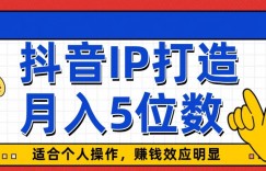 抖音IP打造，适合个人操作，赚钱效应明显，月入5位数