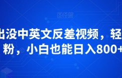 熊出没中英文反差视频，轻松涨粉，小白也能日入800+