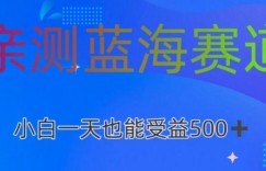 亲测蓝海赛道AI创作，小白一天收益500