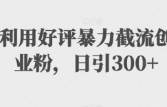利用好评暴力截流创业粉，日引300+