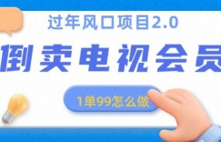 过年风口项目卖电视会员，1单99元，小白好上手