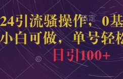 2024引流骚操作，0基础小白可做，单号轻松日引100+