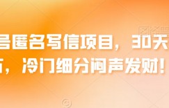 公众号匿名写信项目，30天赚上万，冷门细分闷声发财！