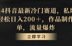 2024抖音最新冷门赛道，私域变现轻松日入200＋，作品制作简单，流量爆炸