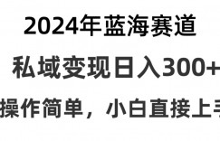 2024抖音蓝海赛道，私域变现日入300+，操作简单，每年只需一小时，纯小白可直接上手