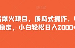 年后爆火项目，傻瓜式操作，收益稳定，小白轻松日入2000+