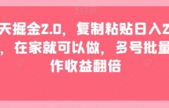 聊天掘金2.0，复制粘贴日入200＋，在家就可以做，多号批量操作收益翻倍
