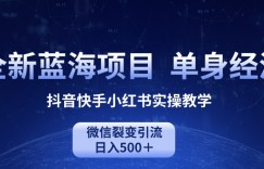全新蓝海项目，单身经济抖音快手小红书实操教学，微信裂变引流日入500＋