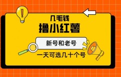 几毛钱撸小红书纯新号和老号，保姆级教程