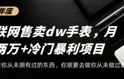 互联网卖dw手表，轻松月入两万+，冷门暴利赛道