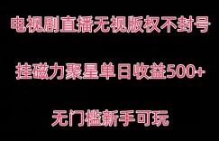 电视剧直播无视版权不封号，挂磁力聚星单日收益500+,无门槛新手可玩