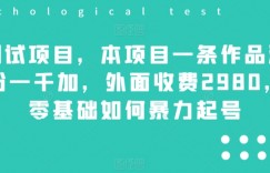 测试项目，本项目一条作品涨粉一千加，外面收费2980，零基础如何暴力起号