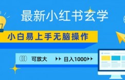 小红书玄学项目，无脑搬运，日入1000+