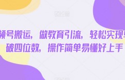 通过视频号搬运，做教育引流，轻松实现单日收入破四位数，操作简单易懂好上手