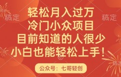 轻松月入过万，冷门小众项目，目前知道的人很少，小白也能轻松上手
