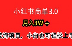 小红书商单3.0，月入3w+，蓝海项目，小白轻松上手