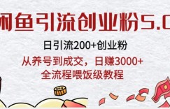 闲鱼引流创业粉5.0技术，日引200+创业粉，从养号到成交，日赚3000+全流程喂饭级教程