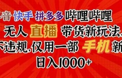 抖音快手拼多多哔哩哔哩无人直播带货新玩法，不违规，仅用一部手机新人日入1000+