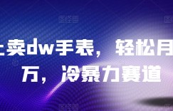 网上卖dw手表，轻松月入两万，冷暴力赛道
