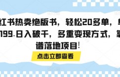 小红书热卖绝版书，轻松20多单，单价199.日入破千，多重变现方式，靠谱落地项目!