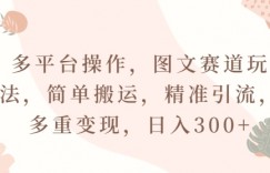 多平台操作，图文赛道玩法，简单搬运，精准引流，多重变现，日入300+