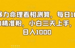 暴力命理看相测算，每日100精准粉，小白三天上手，日入1000