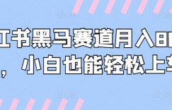 小红书黑马赛道月入8000+，小白也能轻松上车