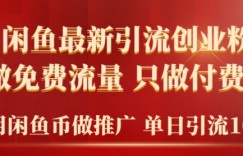 2024年闲鱼币推广引流创业粉，不做免费流量，只做付费流量，单日引流100+