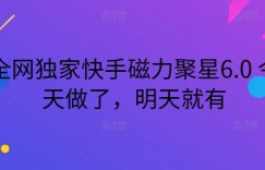全网独家快手磁力聚星6.0 今天做了，明天就有