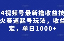 2024视频号最新撸收益技术，爆火赛道起号玩法，收益稳定，单日1000+