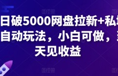 单日破5000网盘拉新+私域全自动玩法，小白可做，当天见收益