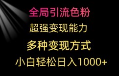 全局引流色粉，超强变现能力，多种变现方式，小白轻松日入1000+