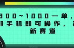 300~1000一单，一部手机即可操作，冷门新赛道