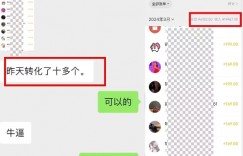 抖音最新引流创业粉+变现保姆式教程 直接无脑套模板即可