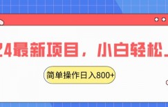 2024最新项目，红娘项目交友盲盒，搭配搭子群简单操作轻松日入800+