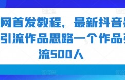 全网首发教程，最新抖音暴力引流作品思路一个作品引流500人