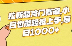 拉新超冷门赛道，小白也能轻松上手，每日1000+