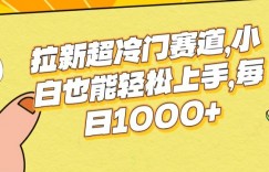 拉新超冷门赛道，小白也能轻松上手，每日1000+