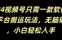 2024视频号只需一款软件，全平台搬运玩法，无脑输出，新手小白也能月入过千